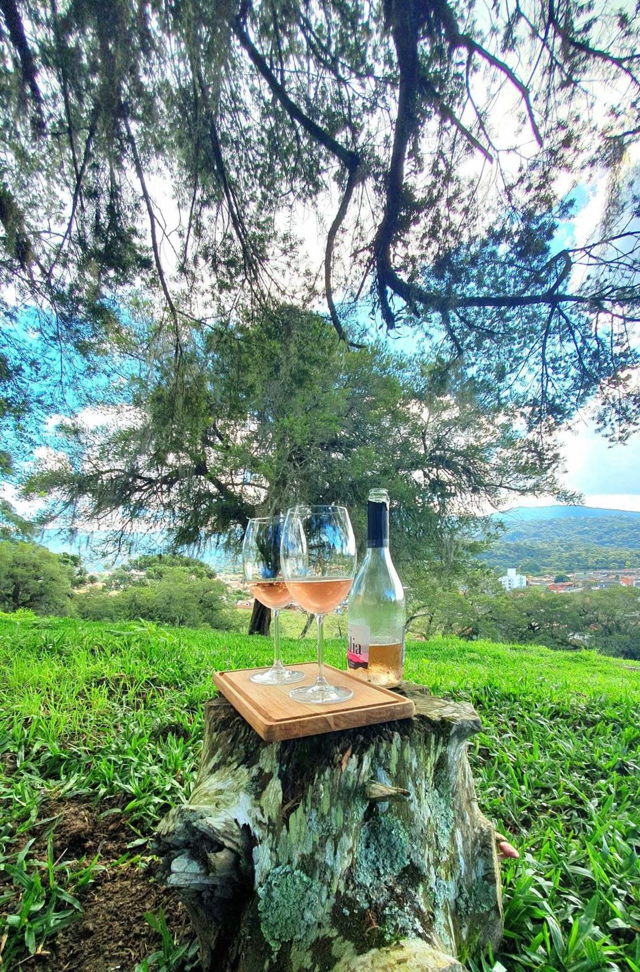 Cabana Canto Lindo - Urubici-Sc Luaran gambar