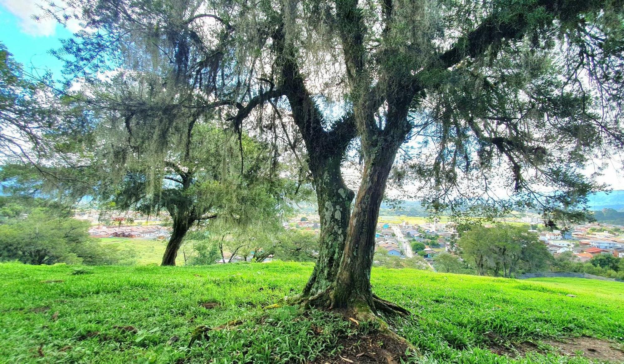 Cabana Canto Lindo - Urubici-Sc Luaran gambar